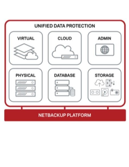 ES 12M RNW NETBACKUP UNIX GOV
