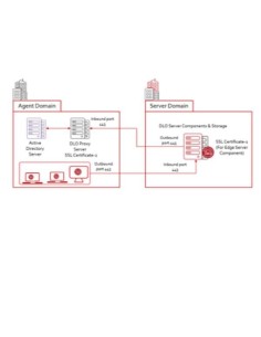 DLO 10USR STD+ESS EXP MNT 12M COR