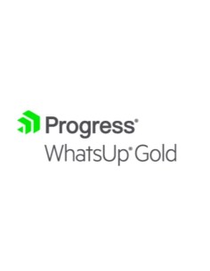 WHATSUP GOLD PREMIUM 200 UPGRADE