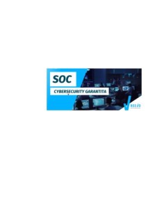 CYBSEC FL MNGD SOCH24 END D&R 350DV