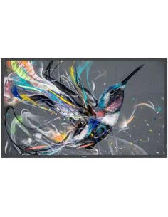 MONITOR 43 Q-LINE 18/7 4K