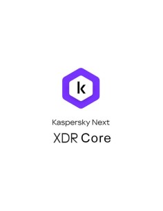 NEXT XDR CORE 250-499 3Y BS