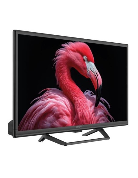 24 HD READY T2/S2/C GOOGLETV 12/220