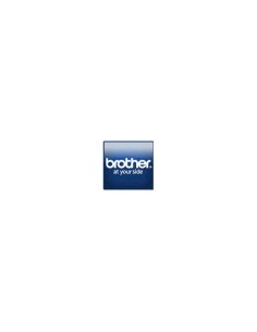 TIMBRO BLU 22X60MM (CONF.6PZ) 2