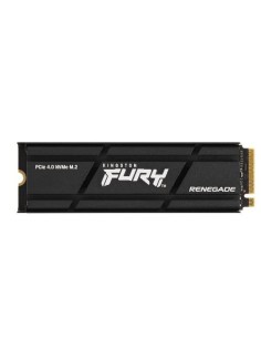 1000G REN.PCIE4.0 NVME SSD HEATSINK