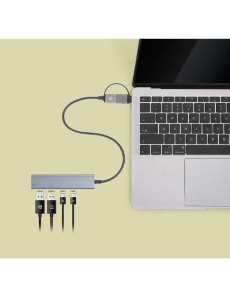 Hub 2 Porte USB-A + 2 Porte USB-C™ USB 3.2 Gen 1