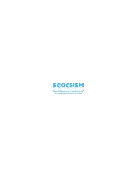 Detergente per la pulizia dei wc Ecochem 1 lt 05WC00FL001A938