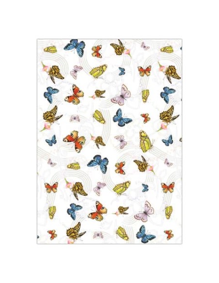 Carta regalo Biembi Premium a fogli estesi 70x100 cm