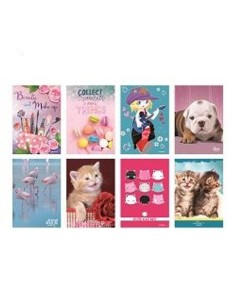 CF5 BAMBINA80 GR 5M A4