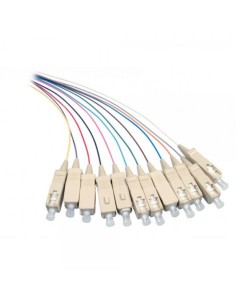 Set 12 Pigtail Fibra Ottica Multimodale OM2 SC 50/125 2 m 2