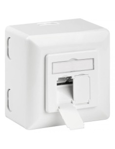 Presa a Muro Esterna 2xRJ45 Cat.6A Bianco