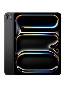 IPAD PRO 13 WF CL 2TB SP BLK NT