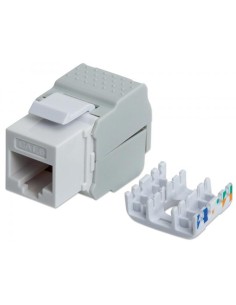 Frutto Keystone RJ45 UTP Cat6 Bianco