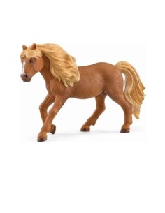 ICELAND PONY STALLION (5)