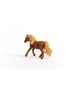 ICELAND PONY STALLION (5) 2