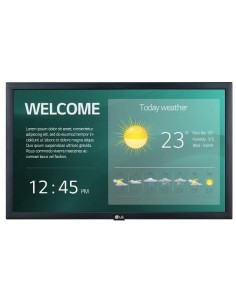 22 LED IPS 1920X1080 16:9 250