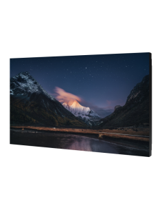 VM55C-R 1920X1080 700NIT 2