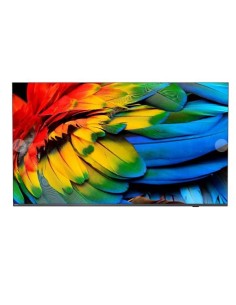 65 MEDIASUITE IPTV 4K CHROMECAST