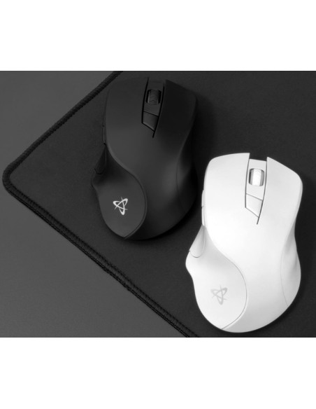 Mouse Ottico Wireless 1600 Dpi 6D Nero, WM-308B