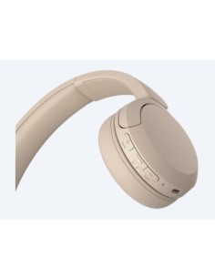 WH-CH520 CUFFIE H.EAR CREMA