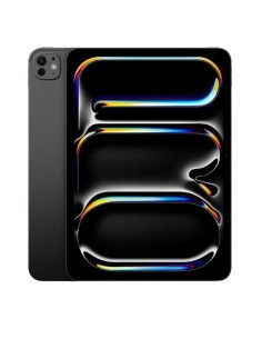 IPAD PRO 13 WIFI 1TB SP BLK