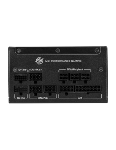 MPG A1000GS PCIE5 2