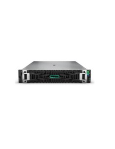 SMART CHOICE HPE DL380 G11 4510 64G