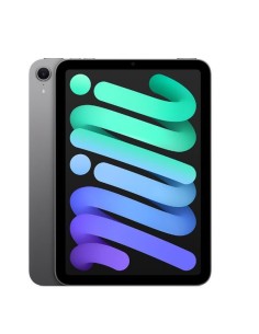 IPAD MINI WI-FI CL 512GB SP GR