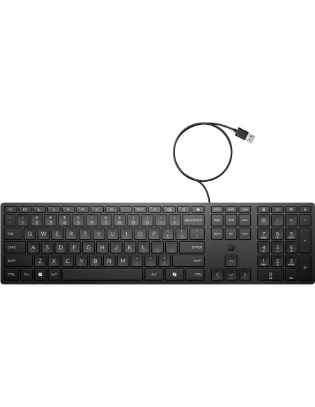 HP WIRED 320K KEYBOARD USB