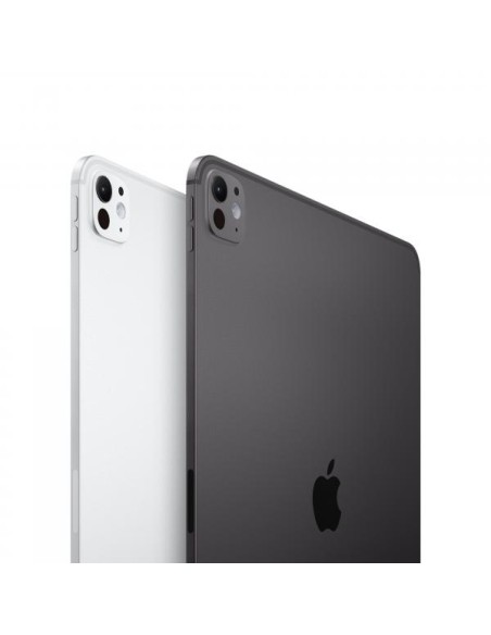 IPAD PRO 13 WF CL 1TB SP BLK