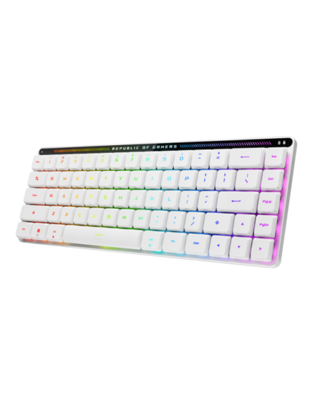 M603 FALCHION RX LP/RLRD/IT