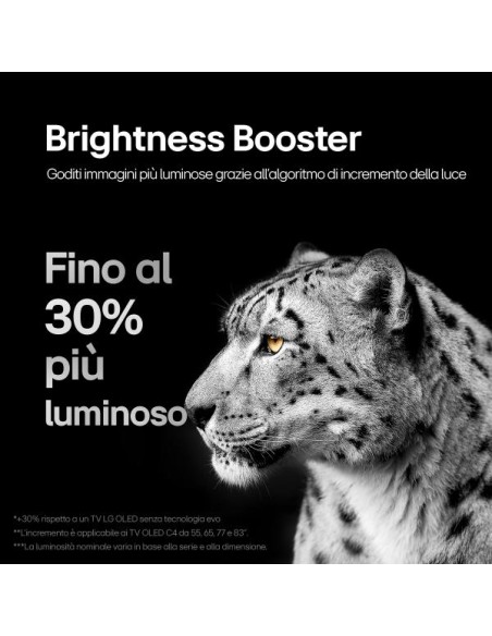 55 OLED EVO C4 4K UHD WEBOS24 BASEC