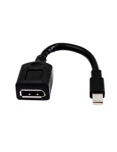 HP SINGLE MINIDP TO DP ADAPTER
