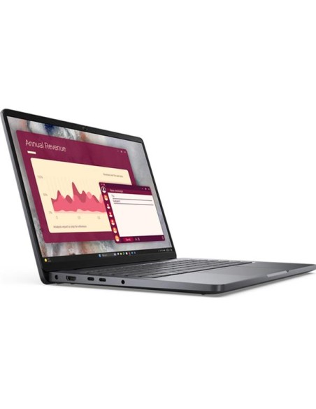 DELL PRO 14 PC14250