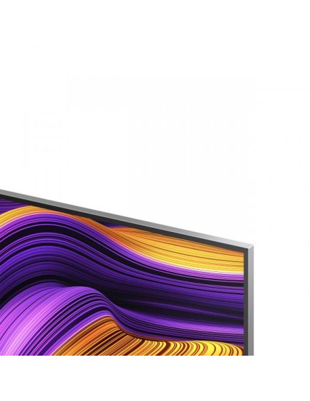 55 OLED EVO G5 4K UHD BASE C WEBOS2