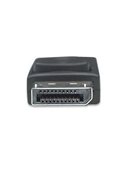 Adattatore DisplayPort DP M a VGA F