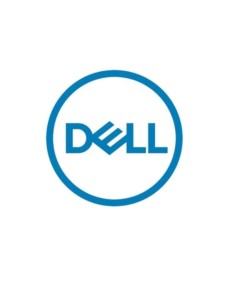 DELL 240GB SSD M.2 SATA 6GBPS 51