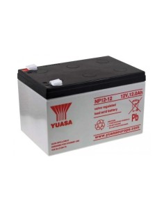 Batteria Piombo-Acido per UPS 12 V 12 Ah, NP12-12