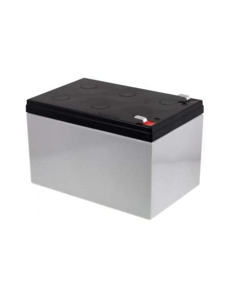 Batteria Piombo-Acido per UPS 12 V 12 Ah, NP12-12