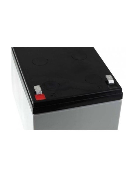 Batteria Piombo-Acido per UPS 12 V 12 Ah, NP12-12