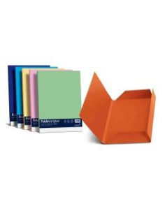 CF25CARTELLINE 3 LEMBI COL ASS 2