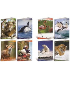 CF10 QUADERNO ANIMALI 100G A4 0B 2