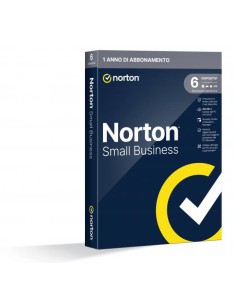NSB-250GB 6 DEV 12M BOX 2