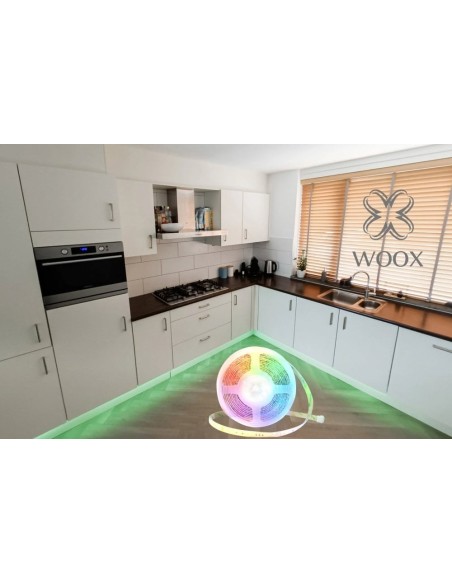 Kit Striscia LED Intelligente 5m con Funzione Musicale e Controllo Vocale Alexa, R5149