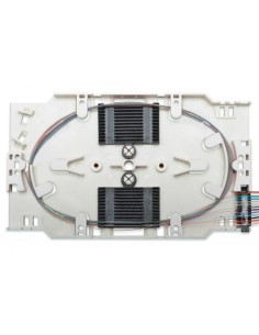 CARTOLINA CON 12 PIGTAIL LC OM4 2