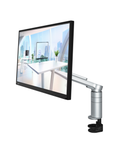 FLT FLEXSCAN 24 IPS LCD ECO 2