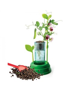 LA BOTANICA - POCKET 2