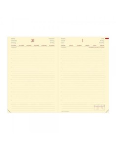 DAILY 24 PREST ML SILK BLU ELAST 2