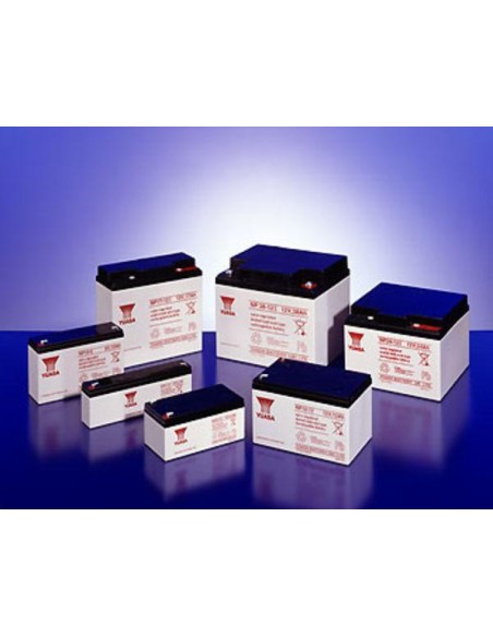 Batteria Piombo-Acido per UPS 12 V 7 Ah, NP7-12L