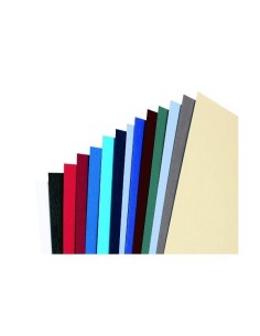 CF100COPERT. LEATHERGRAIN F.TOA4 BL 2